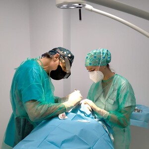 Image of Dr. Campos Clinic Gallery 1