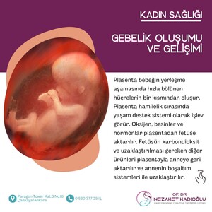 Image of MD.Nezaket Kadıoğlu Gallery 1