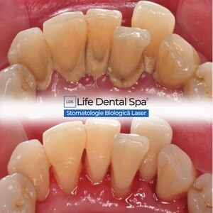 Image of Life Dental Spa Gallery 2