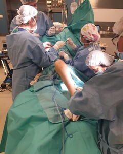 Image of Orthopedic surgery