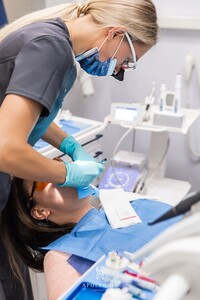 Image of Apollonia - Dental care