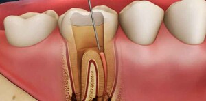 Image of Dental Ank Oral and Dental Health Center Gallery 2