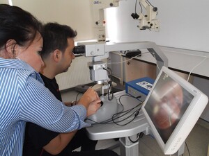 Image of MD.Umut Arslan - Bio Retina Gallery 0