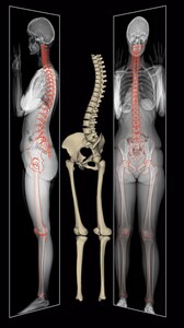 Image of Orthopaedics