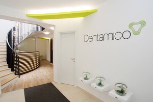 Image of Dentamico