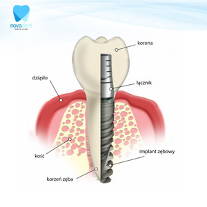 Image of Nowadent Clinic Gallery 3