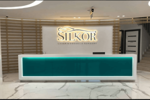 Image of Silkor